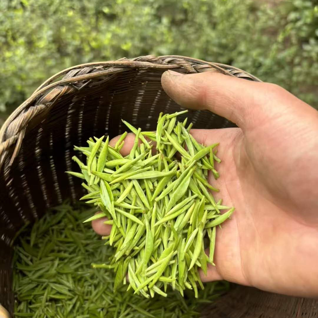 zhu ye qing tea Chinese Green Tea1