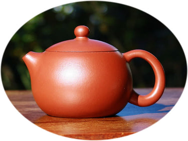 Yixing Zisha teapot Xi Shi - Zhuni