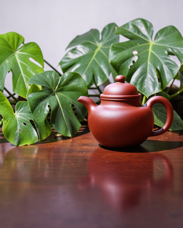 Yixing Zisha Teapot Red Panda