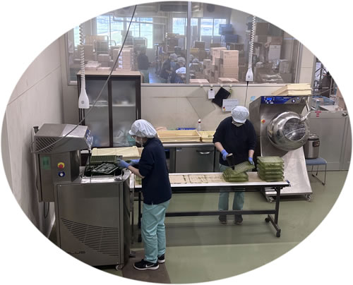 Matcha green tea factory